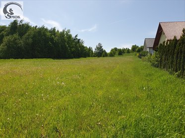 Spokojna działka 6 490 m² z mediami, Jastrzębia - zapraszam działka Jastrzębia