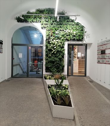 lokal użytkowy na wynajem 100m2 lokal użytkowy Wrocław, Stare Miasto, Wita Stwosza