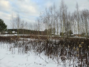 działka na sprzedaż 1178m2 działka Krępa