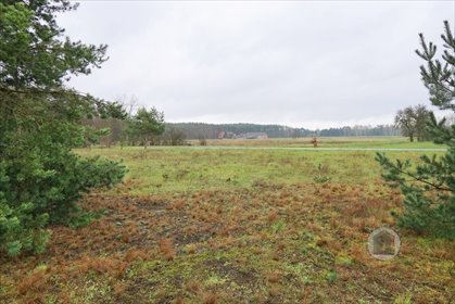 działka na sprzedaż 3298m2 działka Goszczanowiec