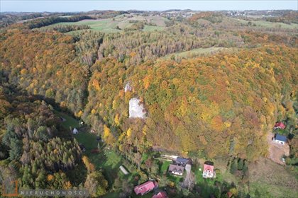 Sprzedam działkę leśną 29 410 m² w Będkowicach działka Będkowice