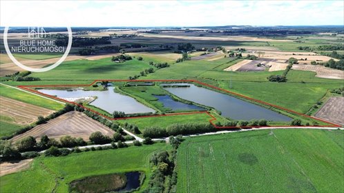 Działka z funkcjonującymi stawami hodowlanymi - polecam! działka Uher