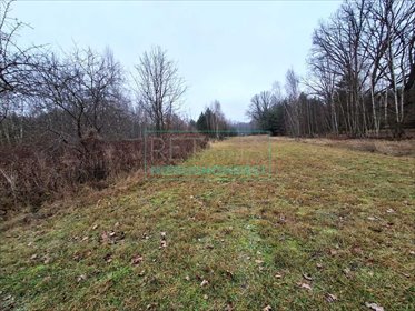 działka na sprzedaż 1600m2 działka Opypy