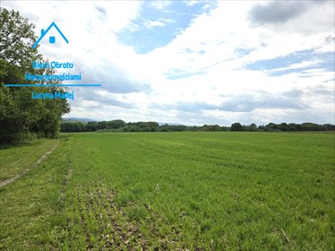 Na sprzedaż działka 35 500 m² z możliwością inwestycji w Wyźrale działka Wyźrał