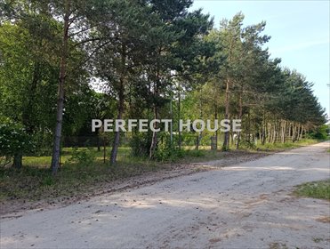 Działka 899 m² w Rabowicach z zielonym ogrodem i pełnym uzbrojeniem działka Rabowice