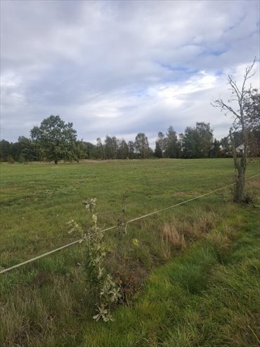 Polecam działkę 1099 m² pod dom w Woli Błędowskiej działka Wola Błędowska