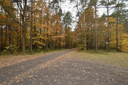 działka na sprzedaż 4951m2 działka Rybnik, Ochojec