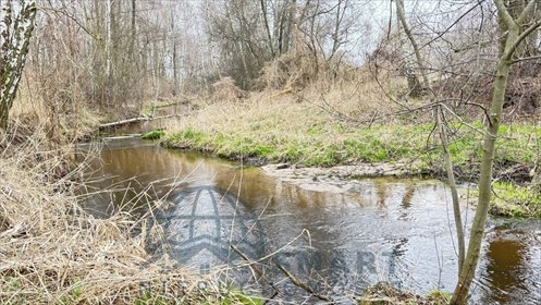 działka na sprzedaż 11580m2 działka Chociszew
