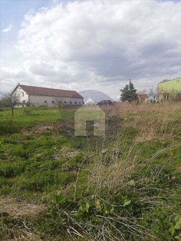 Działka budowlana na sprzedaż Grzybiany 1 000m2 Foto 3