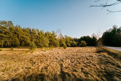 działka na sprzedaż 633m2 działka Czerwonka Szlachecka, Tylko jedna działka w tej cenie!