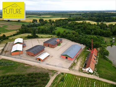 lokal użytkowy na sprzedaż 774m2 lokal użytkowy Wysoka