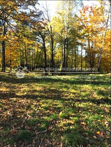 działka na sprzedaż 8529m2 działka Jaworze