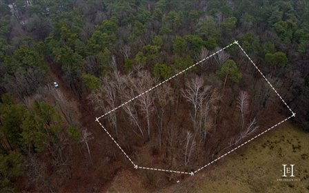 działka na sprzedaż 2600m2 działka Sękocin-Las, Czeremchy