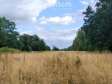 Działka 19 583 m² z mediami - potencjał inwestycyjny działka Mszczonów