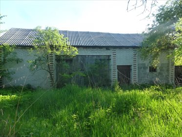 Działka budowlana na sprzedaż Moszna 3 631m2 Foto 4
