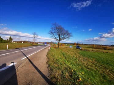 Działka budowlana na sprzedaż Starkowa Huta 3 045m2 Foto 6