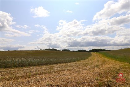 działka na sprzedaż 55000m2 działka Garbas Drugi