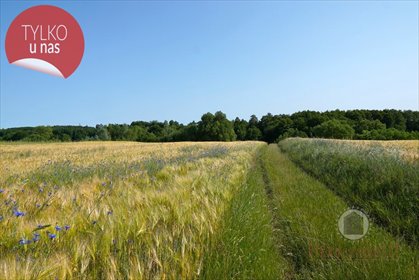 działka na sprzedaż 14822m2 działka Kłodawa