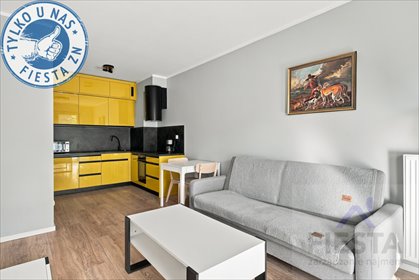 Funkcjonalne 2-pokojowe mieszkanie z balkonem (widok na park) mieszkanie Wrocław, Brochów, Brochów, Syryjska