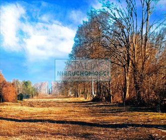 Działka z lasem 11 950 m² w Makówce – inwestycja z potencjałem działka Makówka
