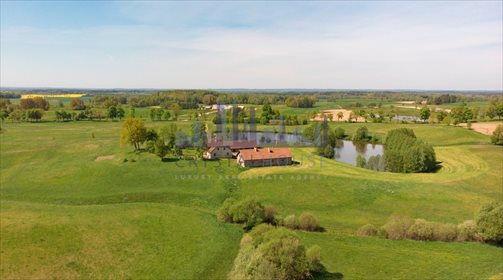 Działka siedliskowa na sprzedaż Golubie Wężewskie 196 300m2 Foto 4