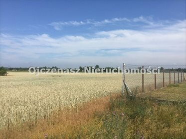 działka na sprzedaż 22322m2 działka Solec Kujawski