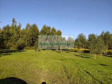 Sprzedam działkę inwestycyjną z domem i mediami w Żółwinie działka Żółwin