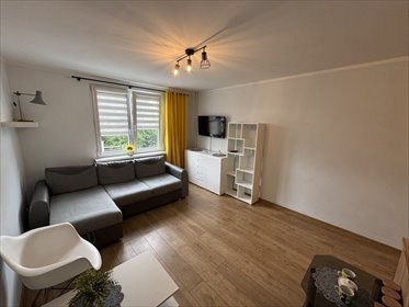 mieszkanie na wynajem 26m2 mieszkanie Zielona Góra, Osadnicza