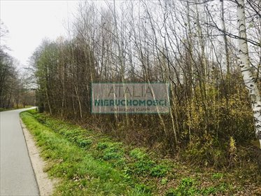 Przestronna narożna działka 4500 m² w Budach Michałowskich działka Budy Michałowskie