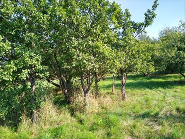 działka na sprzedaż 1001m2 działka Kielce, Ostra Górka, Jaśminowa