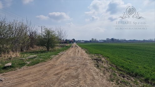 działka na sprzedaż 1080m2 działka Lutynia, Lutynia