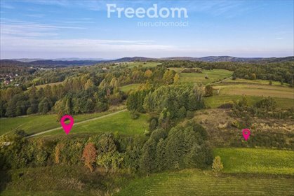 działka na sprzedaż 8100m2 działka Grabówka