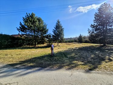 działka na sprzedaż 8600m2 działka Mszczonów, Leśna