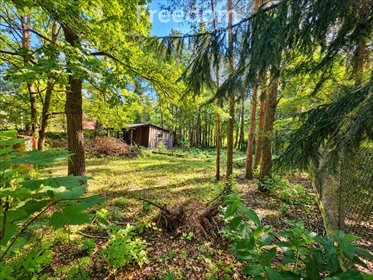 Działka budowlana 622 m² w Puszczy Mariańskiej. działka Puszcza Mariańska, Króla Jana Sobieskiego