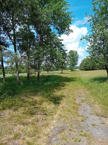 działka na sprzedaż 16000m2 działka Trachy, Zamojska