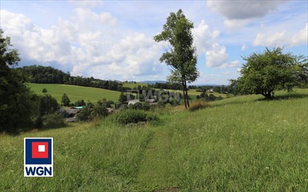 działka na sprzedaż 1024m2 działka Leszna Górna