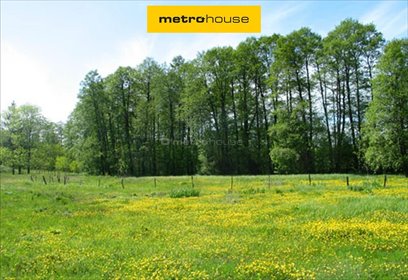 Działka inwestycyjna 2500 m² z potencjałem logistycznym działka Nowy Ciechocinek