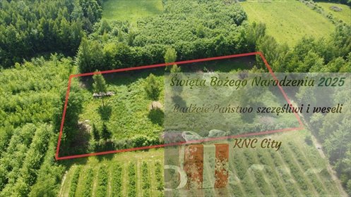 działka na sprzedaż 3580m2 działka Kazimierz Dolny, Jeziorszczyzna