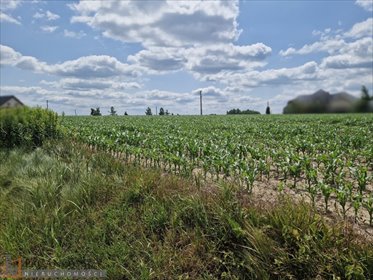 działka na sprzedaż 1257m2 działka Dojazdów