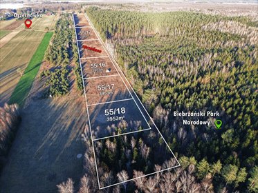 działka na sprzedaż 3953m2 działka Orzechówka
