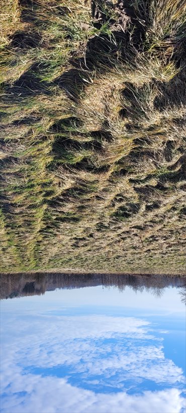 działka na sprzedaż 3289m2 działka Dębowiec