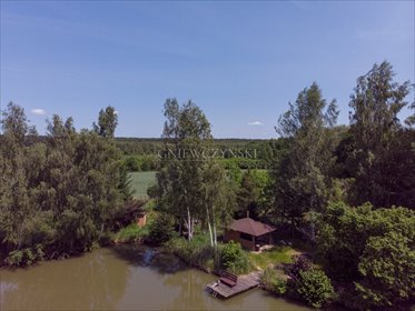 działka na sprzedaż 15124m2 działka Pęgów, Jana Klicha