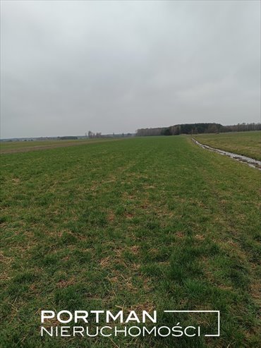 działka na sprzedaż 17800m2 działka Lasomin