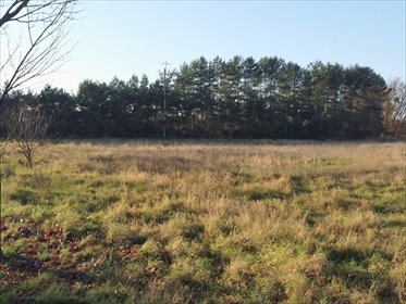 działka na sprzedaż 1584m2 działka Sierosław, Bukowska