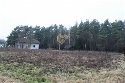 Działka budowlana na sprzedaż Konstancin-Jeziorna, Cegielnia-Chylice 7 800m2 Foto 3