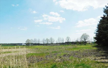 Działka 1248 m² w Mieściskach - idealne miejsce na dom. działka Mieściska