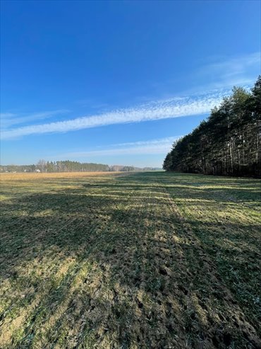 działka na sprzedaż 9600m2 działka Ignacewo