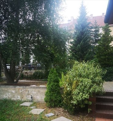 dom na wynajem 90m2 dom Szczecin, Pogodno, szczecin