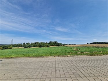 działka na sprzedaż 5508m2 działka Rydułtowy