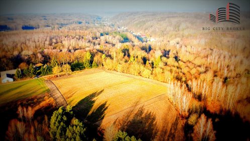 działka na sprzedaż 23596m2 działka Kazimierz Dolny, Doły